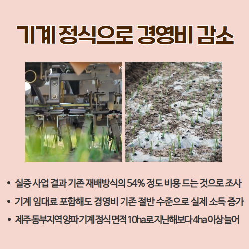 49.1분뉴스_이제는기계로,재배면적점차확대 3.jpg