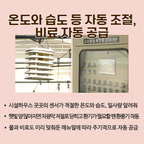 46.1분뉴스_ 3.jpg