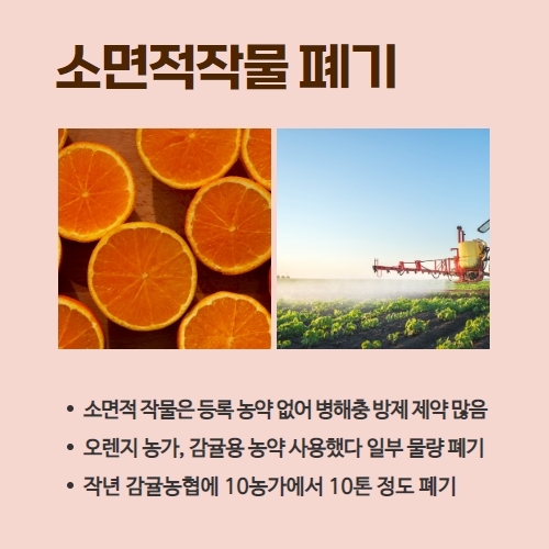 23.1분뉴스_농약직권등록 3.jpg