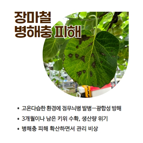 27.1분뉴스_장마철병해충 2.jpg