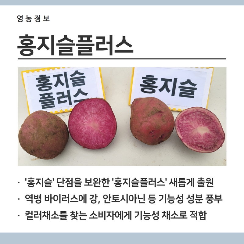 감3.jpg