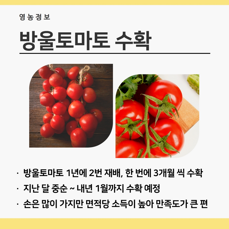 방토2.jpg