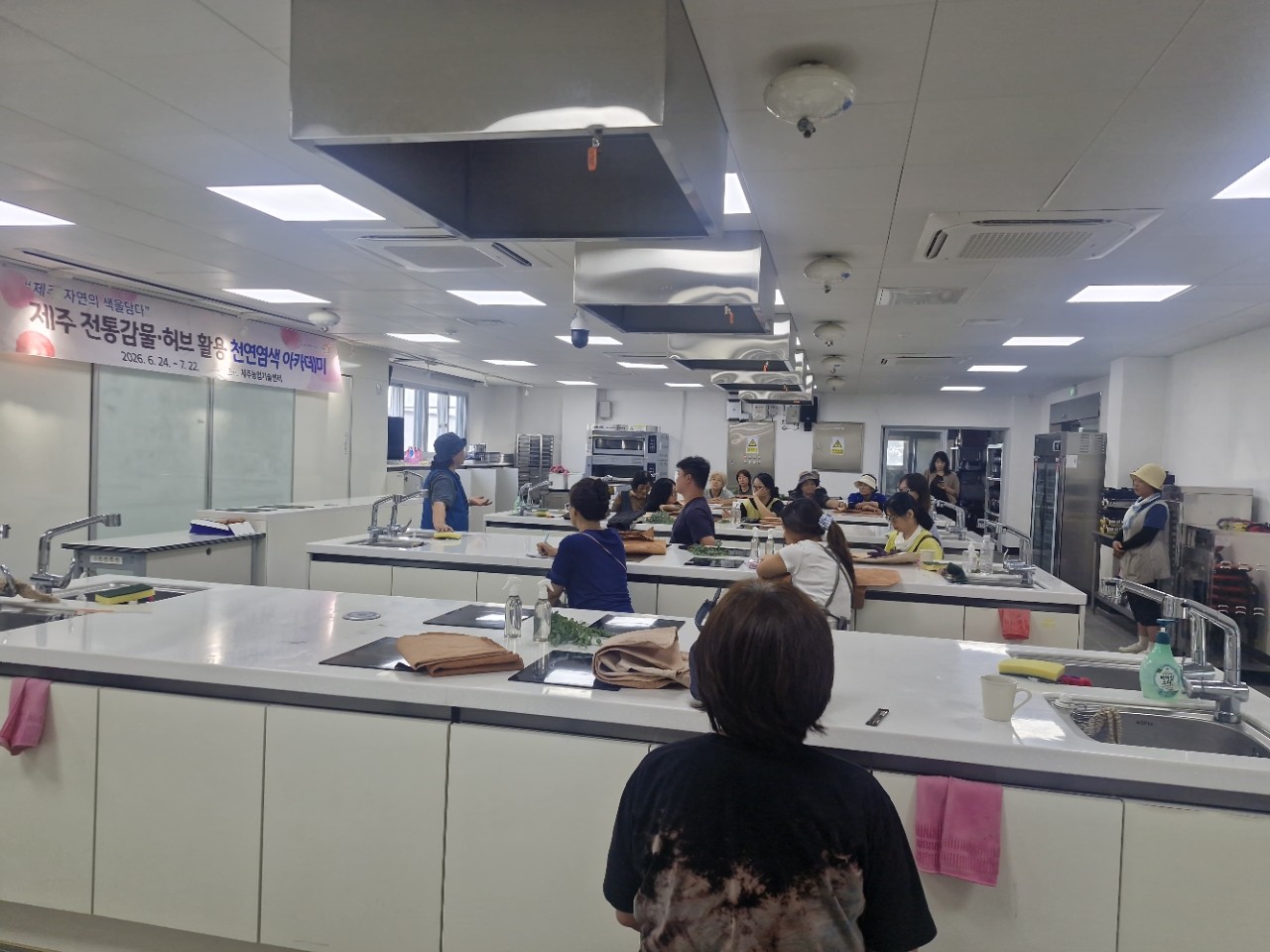 제주 전통감물. 허브 활용 천연염색 아카데미 교육 - 3회차