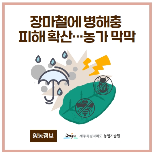 27.1분뉴스_장마철병해충 1.jpg