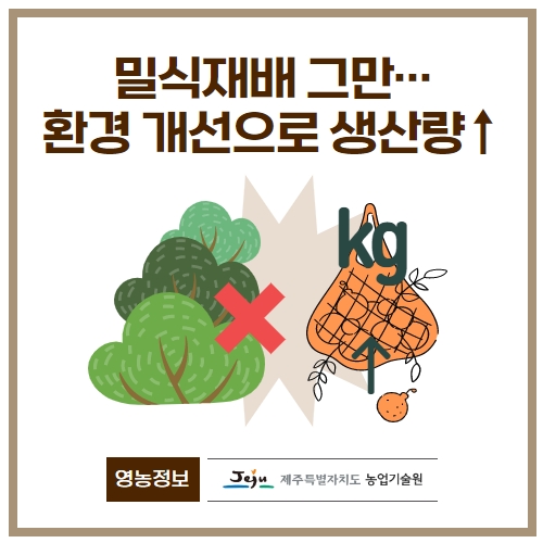 28.1분뉴스_만감류한줄재배 1.jpg