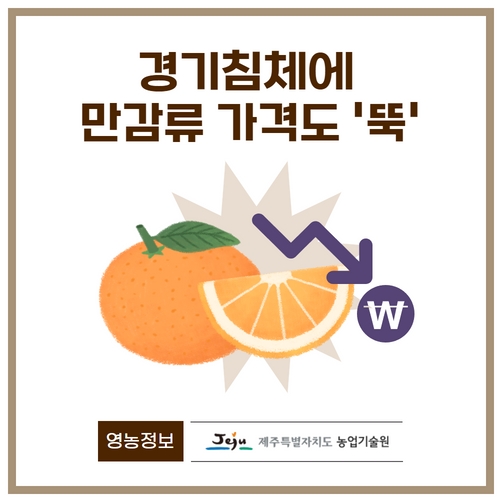 8.1분뉴스_만감류가격 1.jpg