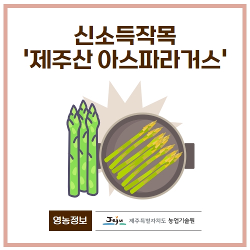 13.1분뉴스_아스파라거스 1.jpg