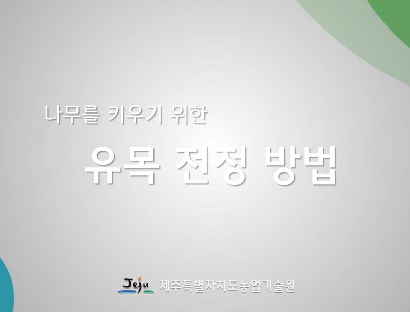 2025년 나무를 키우기 위한 유목 전정 방법