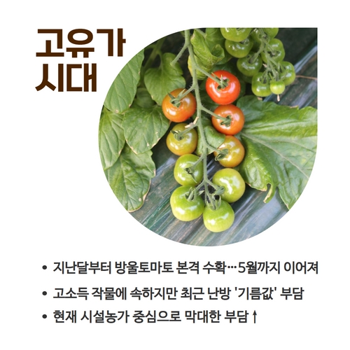 6.카드뉴스_고유가겨울나기 (2).jpg