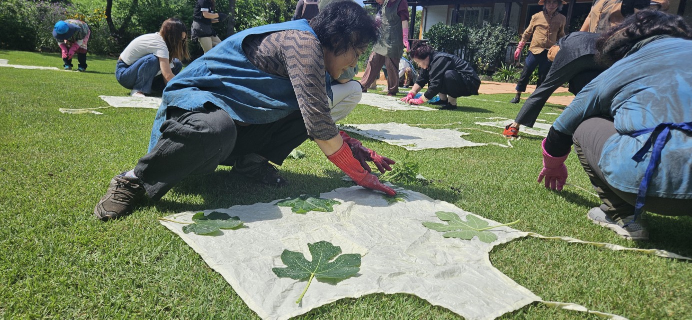 250926_수시_농업기술원_염색 체험 사진.jpg