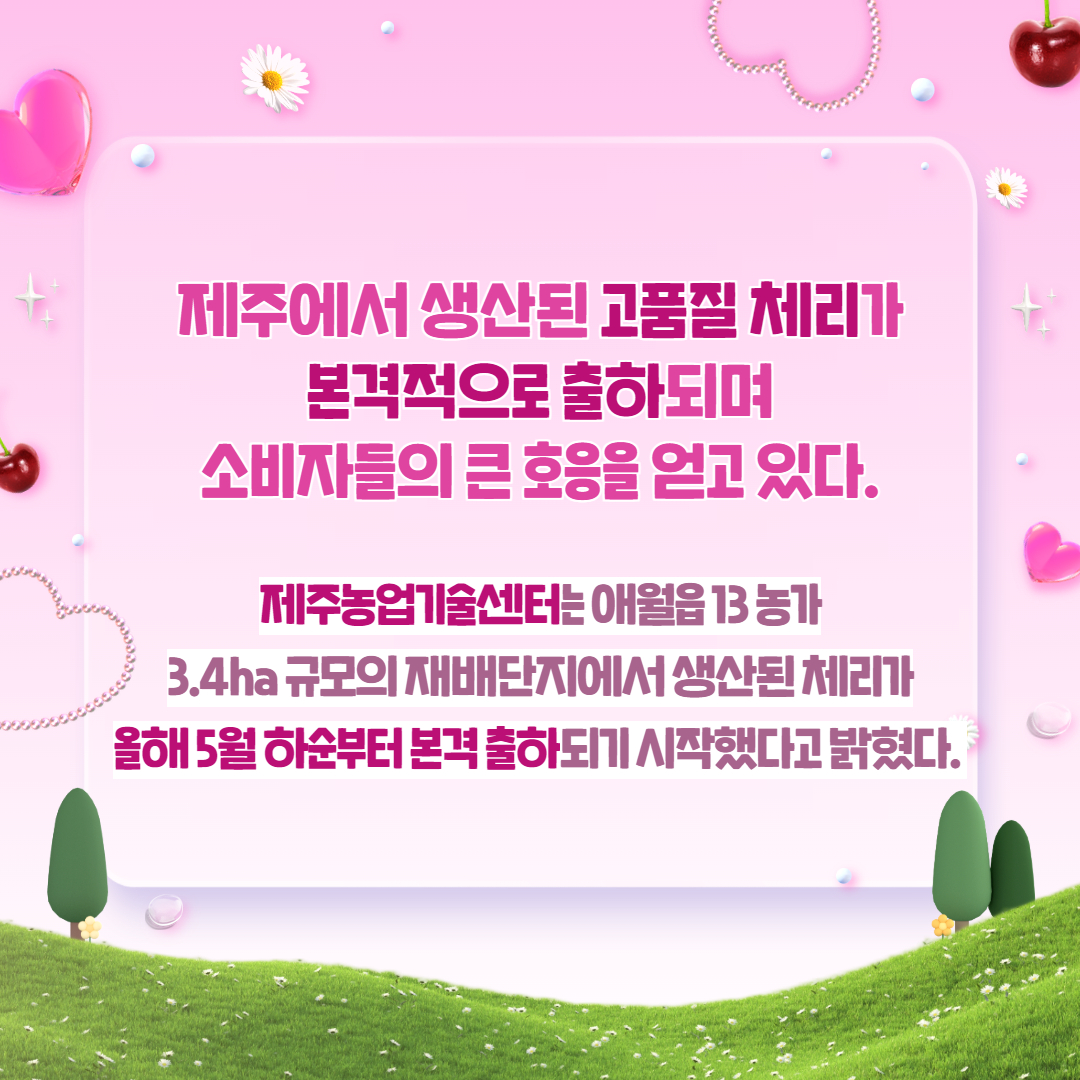 제주산 체리 출하 및 실증 결과 (2).jpg