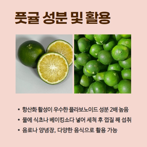 33.1분뉴스_풋귤출하 3.jpg