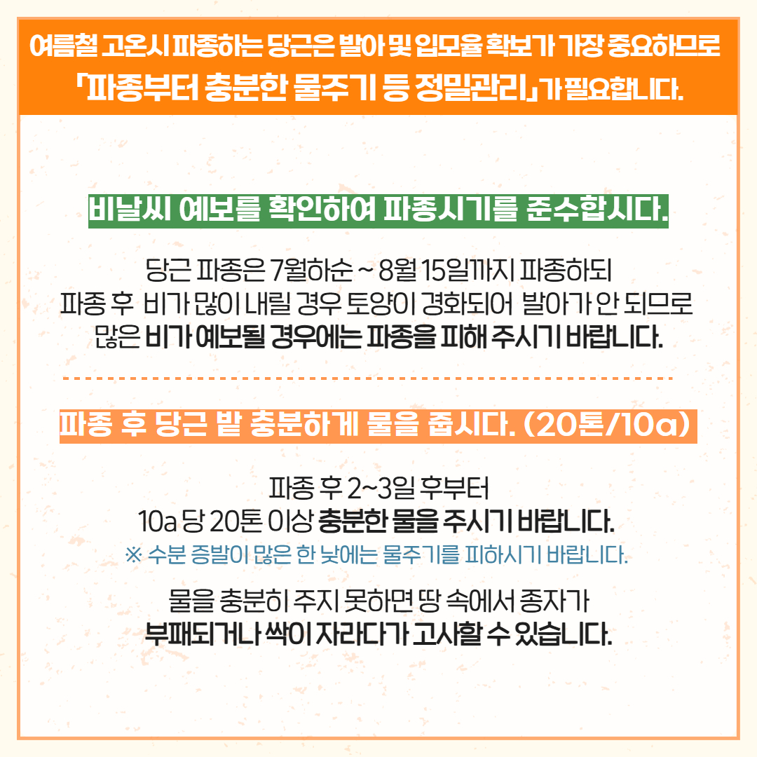 당근 파종기 안정생산 (2).jpg