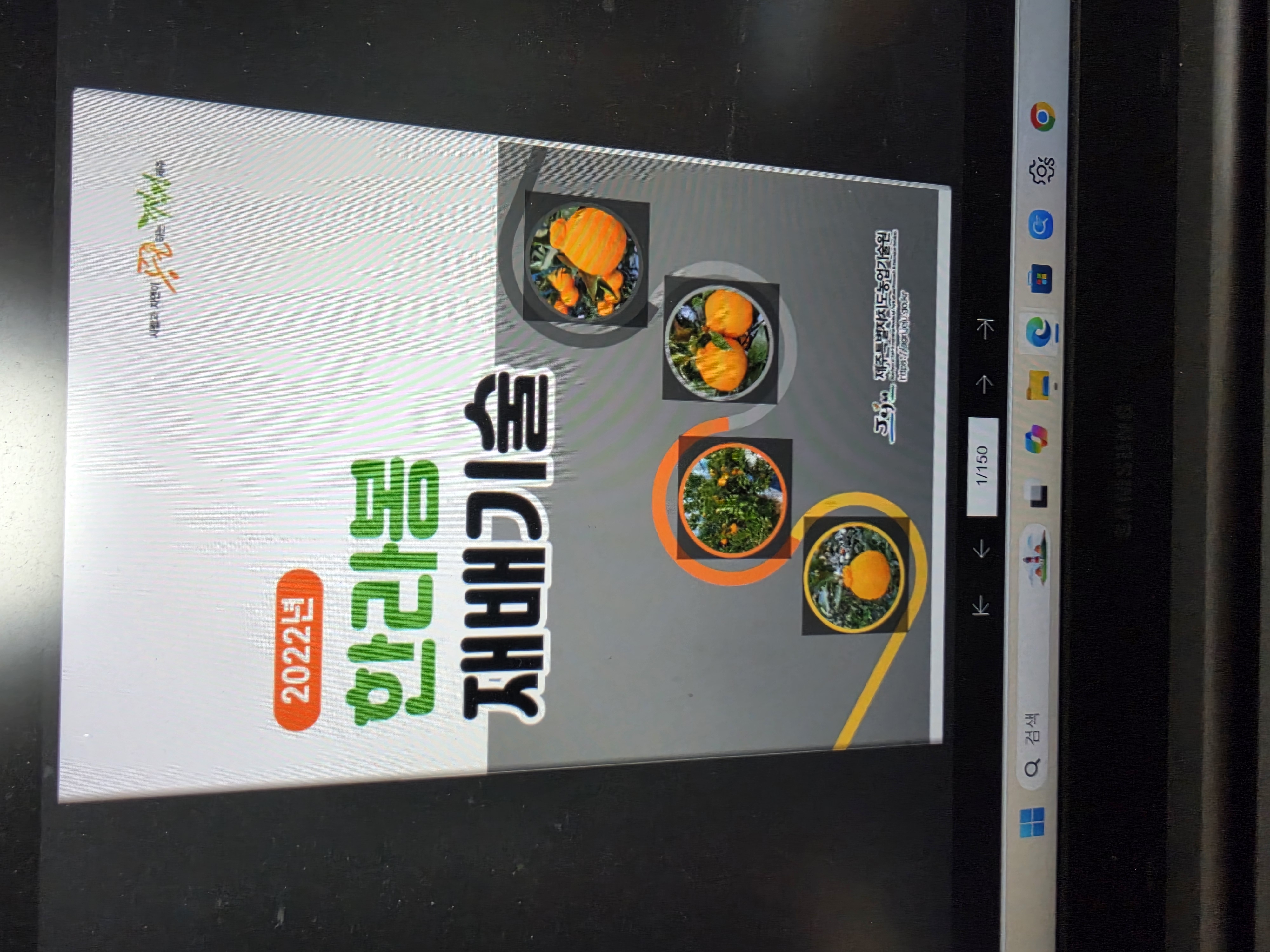 2022년 한라봉 재배기술