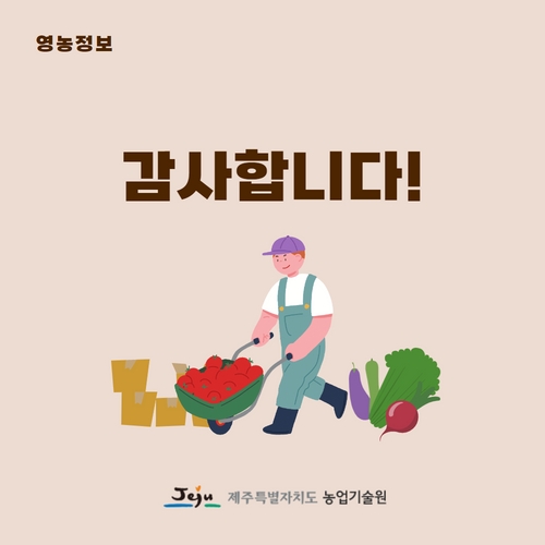 2.제주산콜라비  (5).jpg