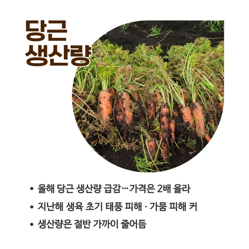 7.카드뉴스_당근생산량급감 1 (2).jpg