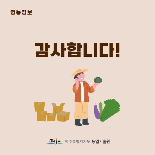 12.1분뉴스_미니단호박 5.jpg