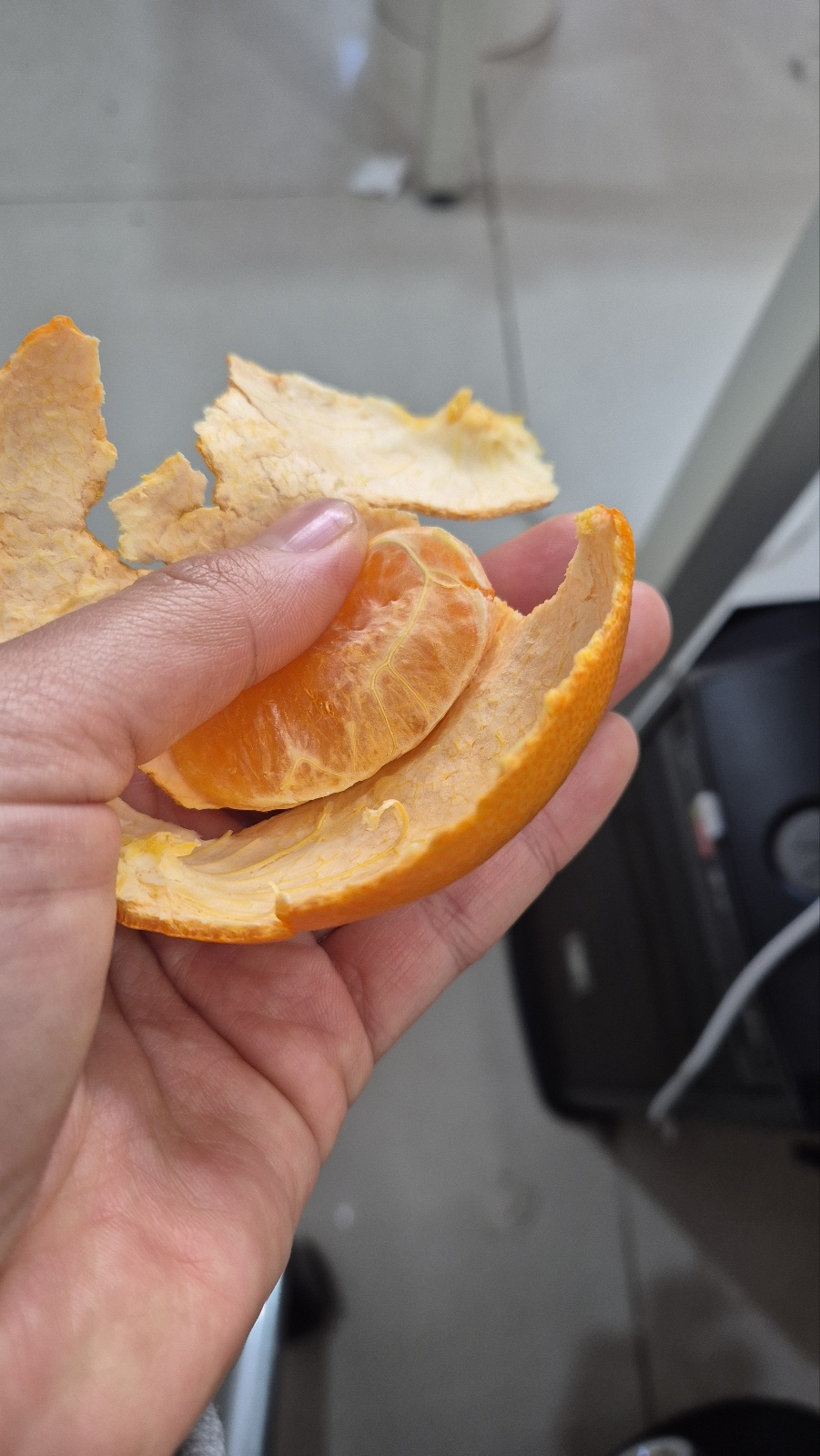 안녕하세요. 천혜향 재배 관리 문의드립니다.