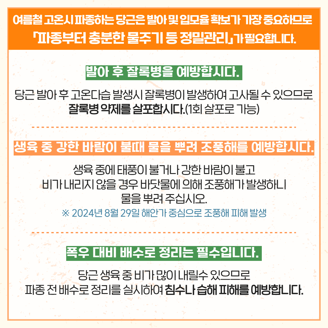 당근 파종기 안정생산 (3).jpg