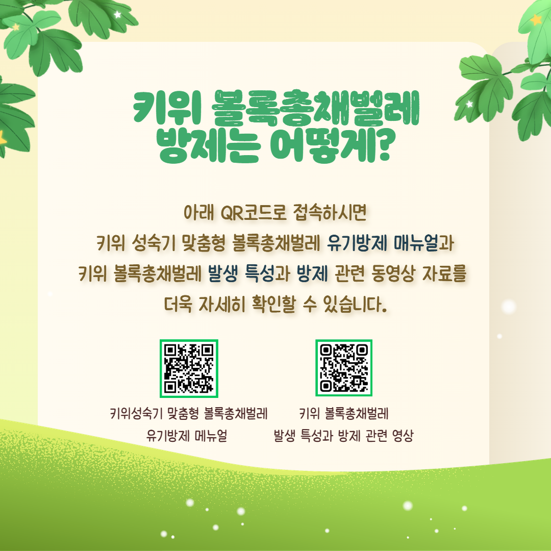 키위 총채벌레 관리 방법 (5).png