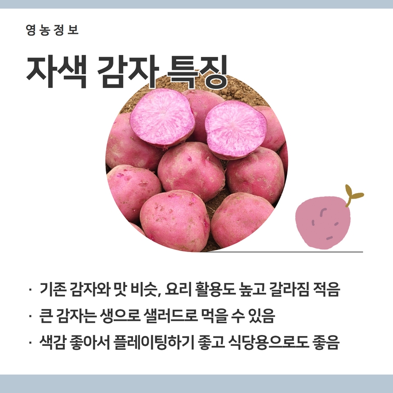 감4.jpg