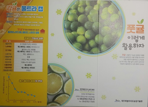 풋귤활용 리플릿 관련..