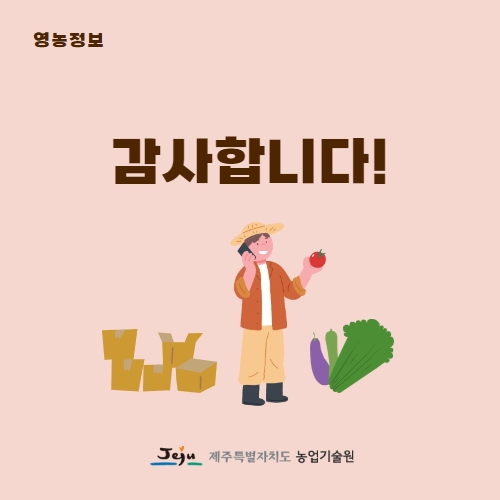 17.1분뉴스_대사니마늘 5.jpg