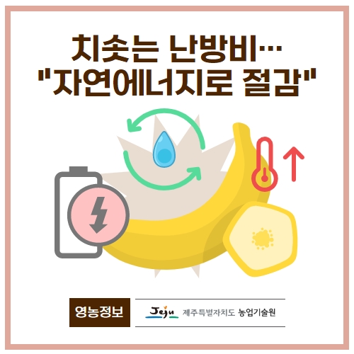 44.1분뉴스_ 1.jpg