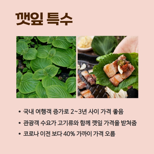 5.카드뉴스_깻잎 (3).jpg