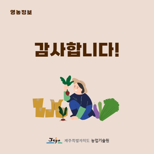 28.1분뉴스_만감류한줄재배 5.jpg