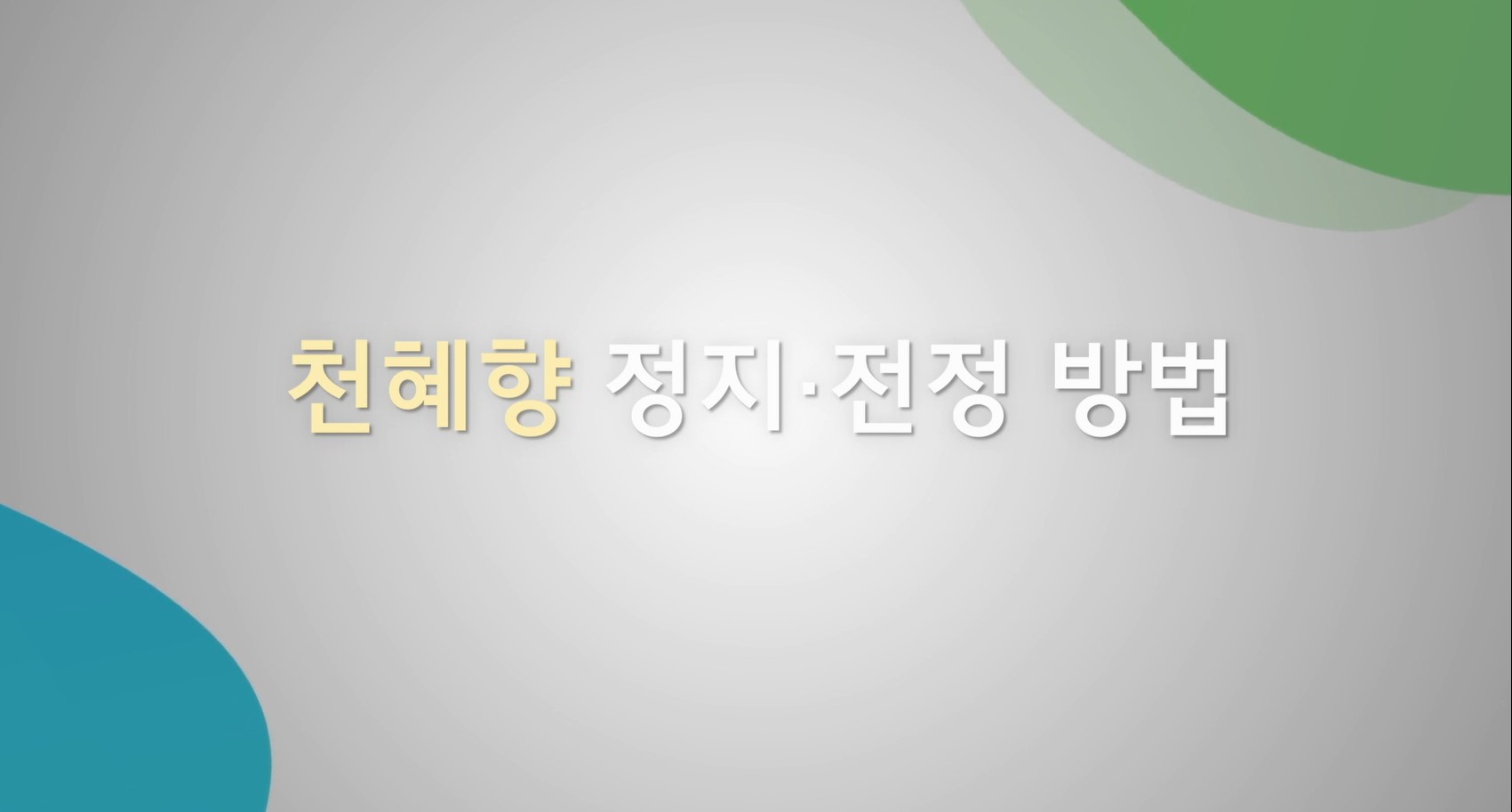천혜향 정지전정 방법