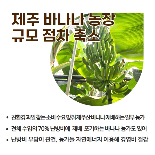 44.1분뉴스_ 2.jpg