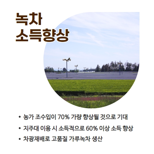 26.1분뉴스_녹차차광재배 4.jpg