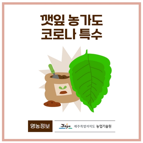 5.카드뉴스_깻잎 (1).jpg