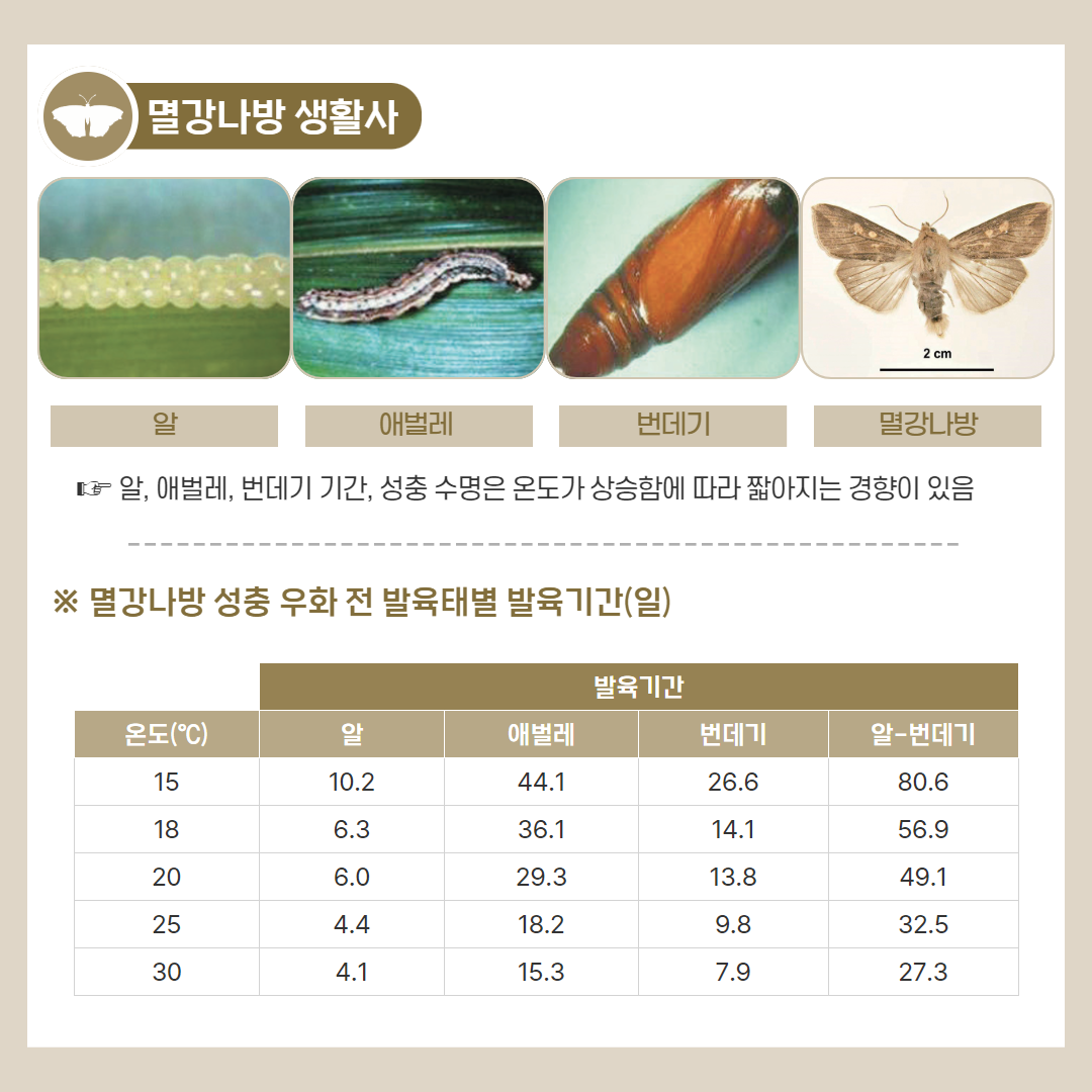 25. 4. 멸강나방 3.png