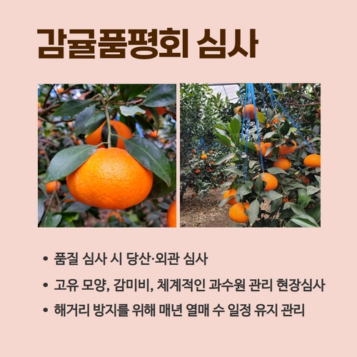 3.카드뉴스_레드향비법 (3).jpg