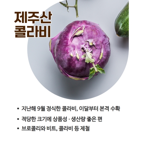 2.제주산콜라비  (2).jpg