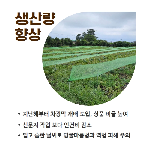 30.1분뉴스_수박차광막재배 4.jpg