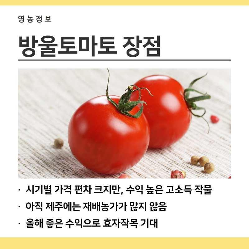 방토4.jpg
