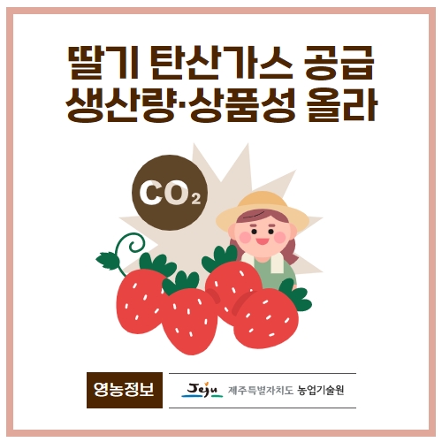 11.1분뉴스_딸기탄산가스 1.jpg