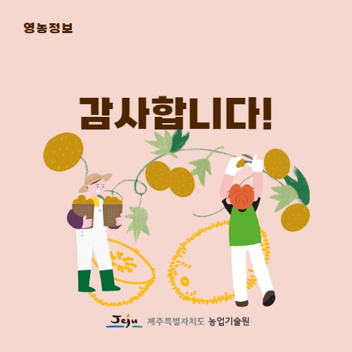 42.1분뉴스_국산골드키위하트골드첫출하 5.jpg