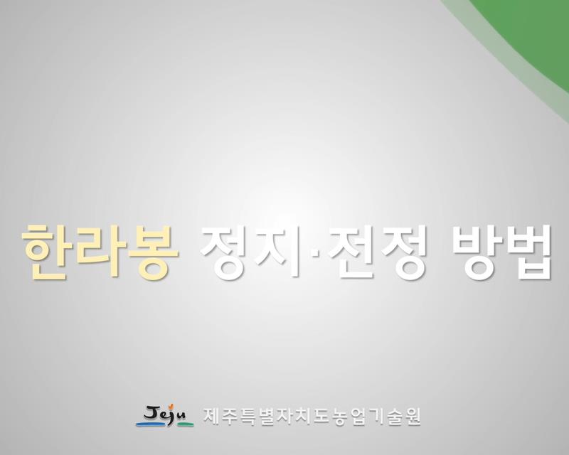 2025년 한라봉 정지전정 방법