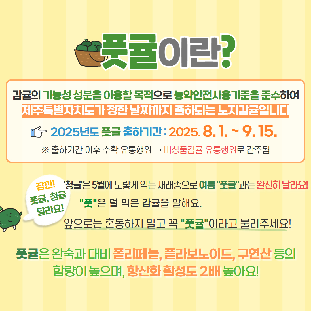 풋귤 생산 및 출하 (2).jpg