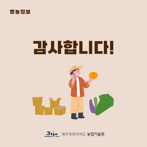 8.1분뉴스_만감류가격 5.jpg