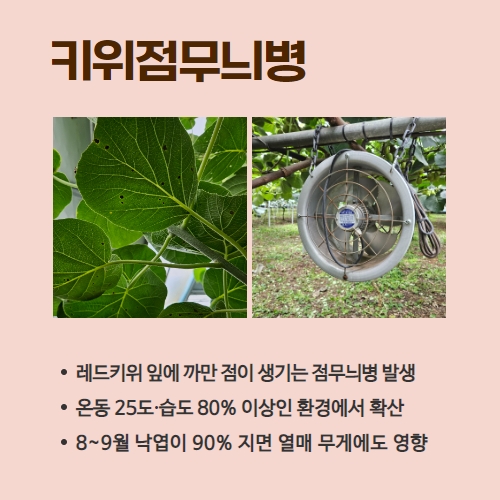 27.1분뉴스_장마철병해충 3.jpg