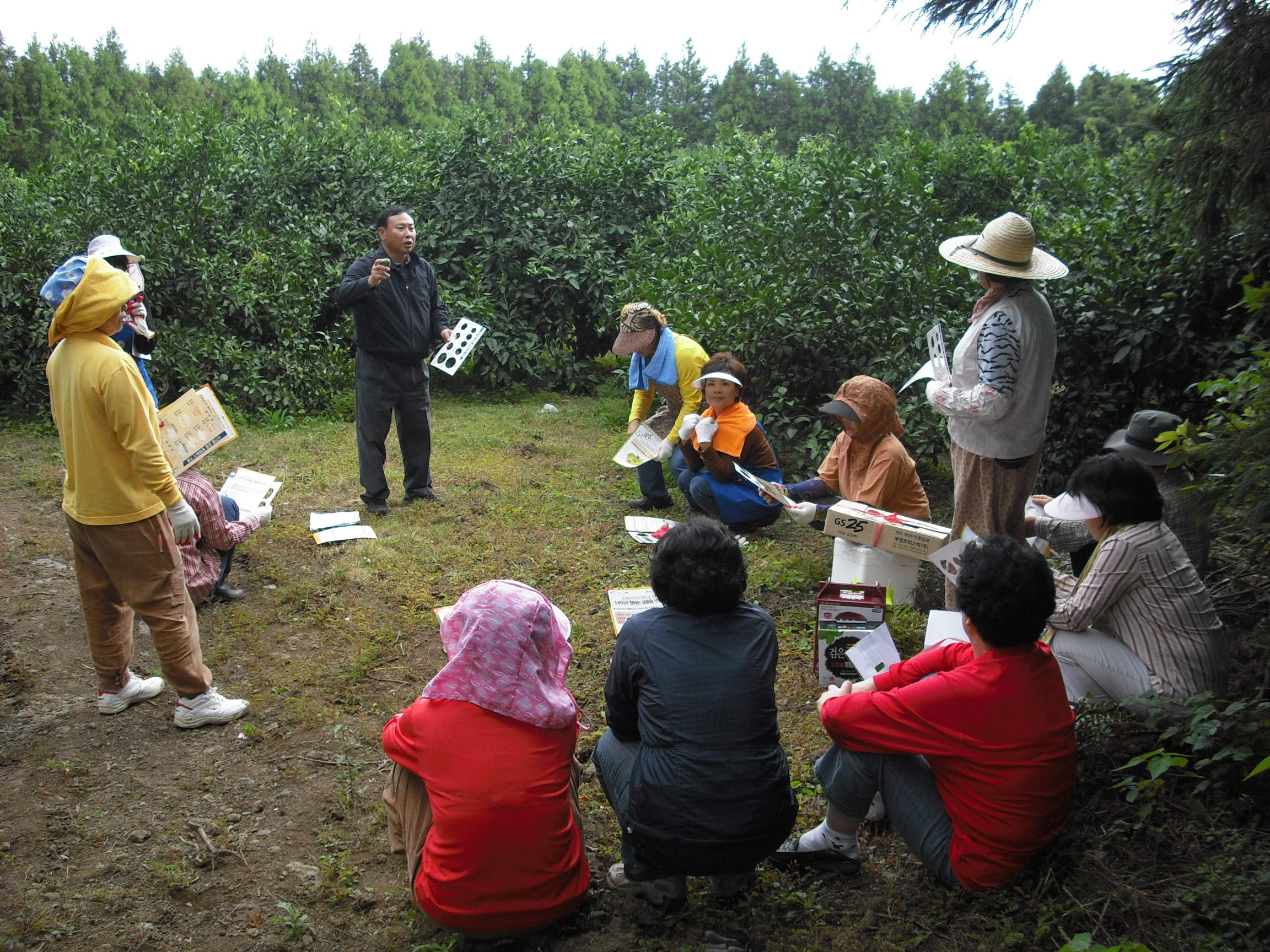 열매솎기 교육 및 봉사활동