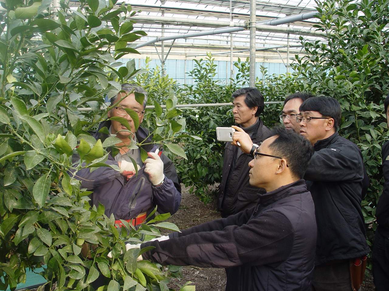 직원 역량강화를 위한 한라봉 전정교육 실시