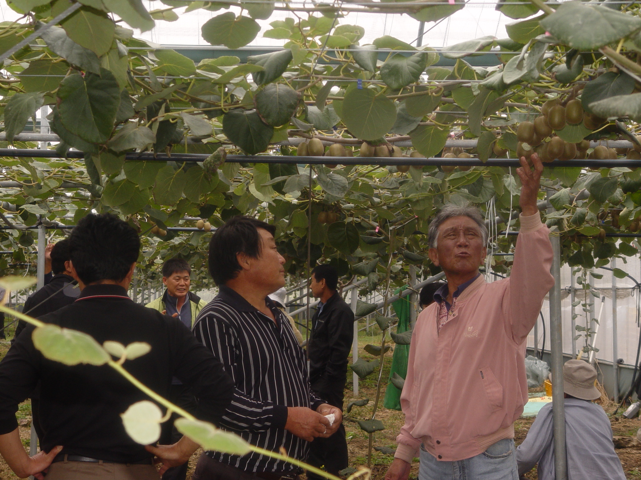 참다래연구회 현장 연찬