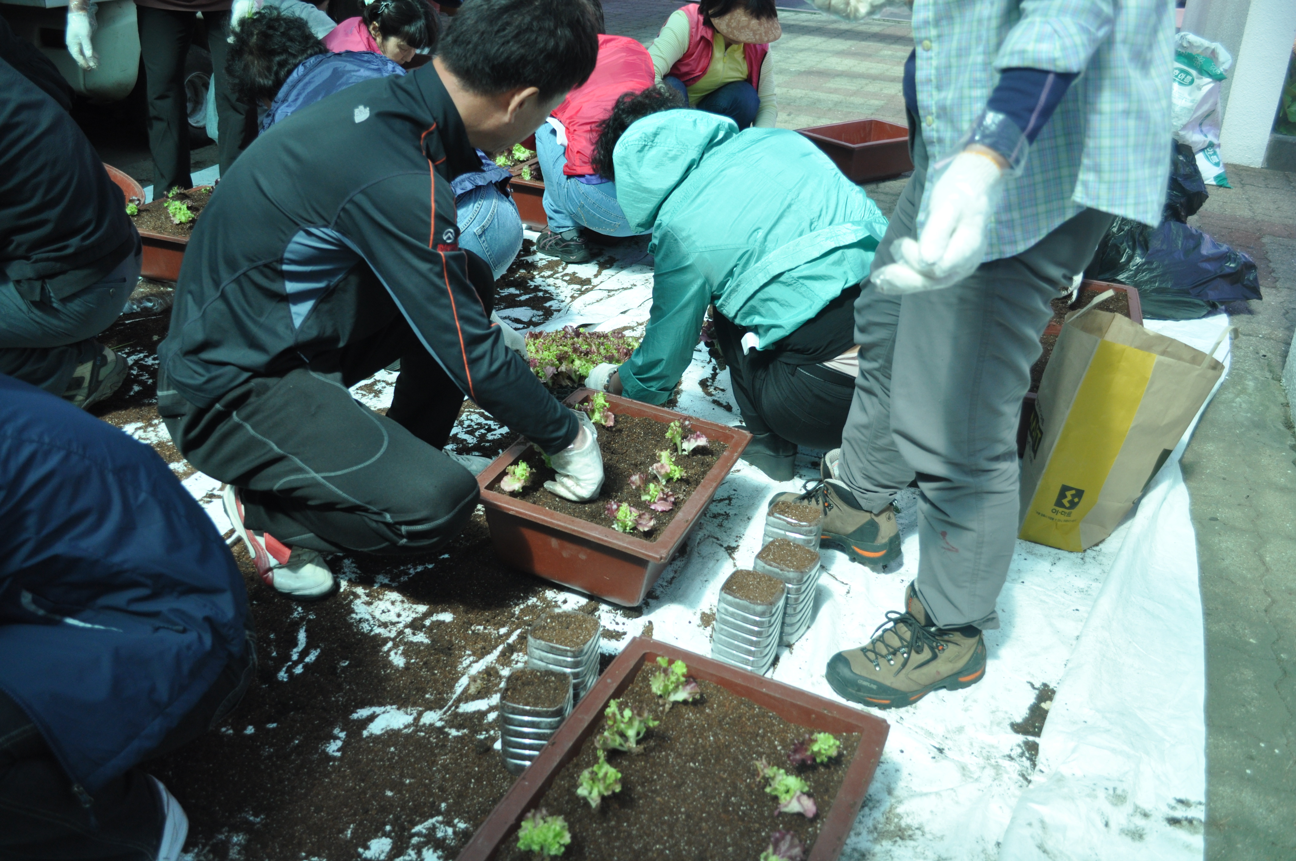 농산물 가공교육(2010.09.16)