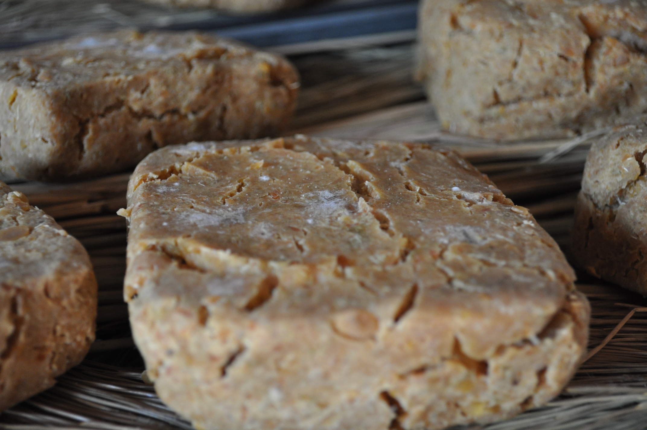 교육농장 메주는 진행중^^